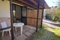 Agriturismo AgriCostella Vieste, Piscina e Parcheggio - 촌캉스