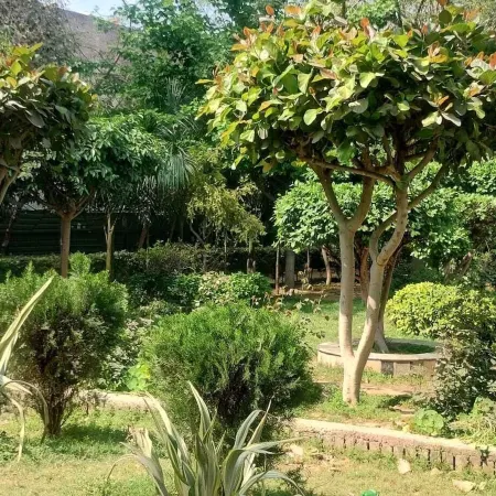 Gavari India's Delhi Hostel Отели рядом с достопримечательностью «Храм Чаттарпур»