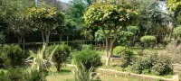 Gavari India's Delhi Hostel Hotels in 