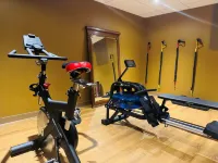 Hôtel Maison Lacassagne Lyon - Fitnessstudio
