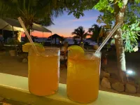Oualie Beach Resort - Bar