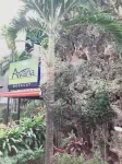 Avana Hills Boracay Prime - Traveler's 1 - con vista montagne