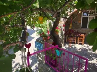 Vama Konuk Evi - 3 estrellas