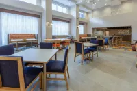 Hampton Inn and Suites by Hilton Bloomfield Hills Detroit - Pet friendly