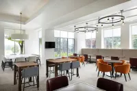 丹佛南公園梅多斯區希爾頓花園酒店 - 酒吧
