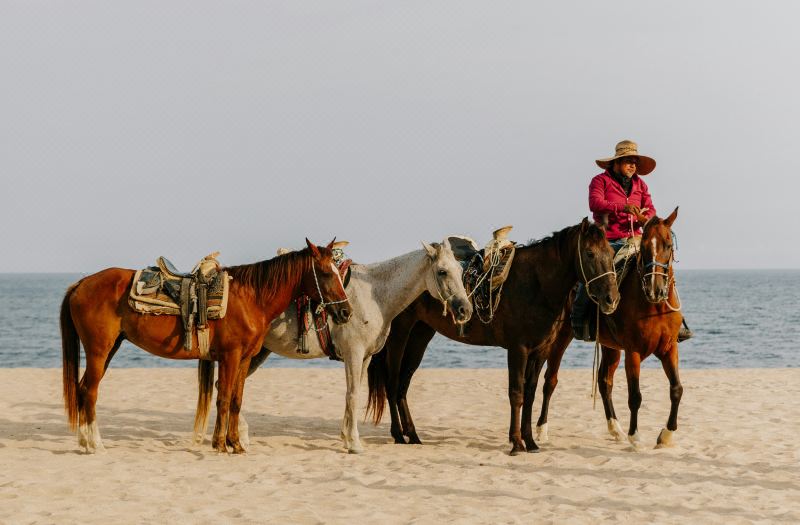 Viceroy Los Cabos photo 4