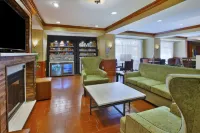 Hampton Inn by Hilton Commerce Novi - 2-Star