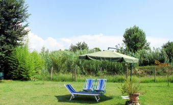 a green lawn with two lounge chairs and an umbrella , providing a comfortable outdoor seating area at Anna