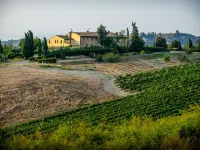 Podere la Torre