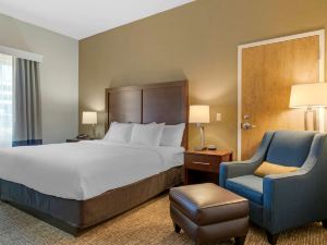 Comfort Inn Mechanicsburg - Harrisburg South