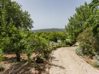 Casa Bi Rosario - Quinta Amoreira Hotels in Benafim