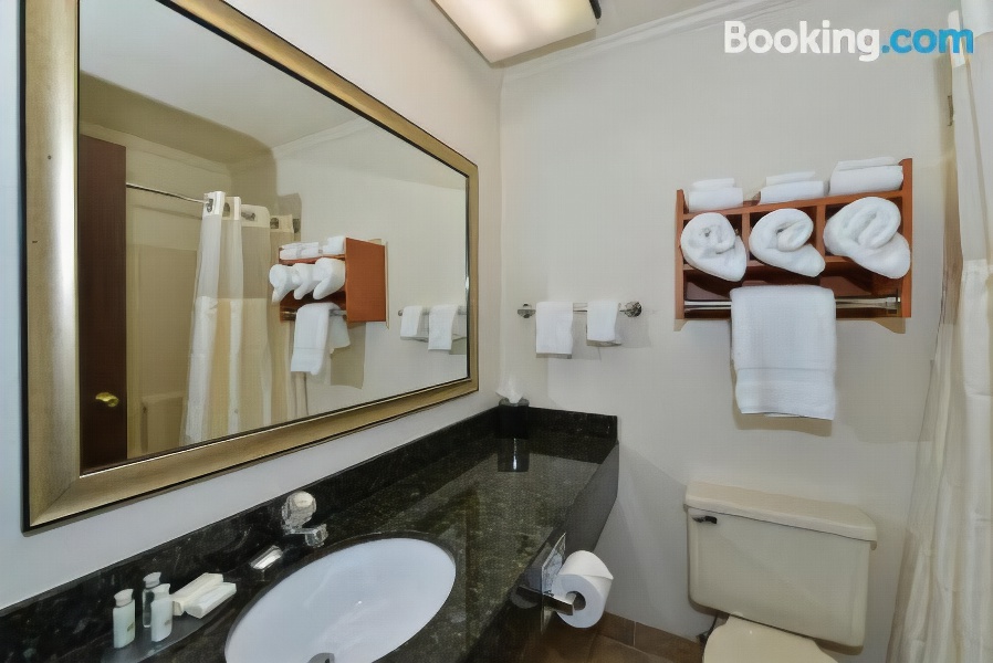 Best Western Davison Inn