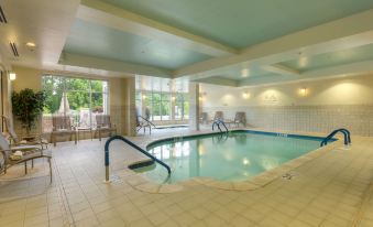 an indoor swimming pool with a blue ceiling , surrounded by white walls and large windows at Hilton Garden Inn Meridian