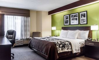 Sleep Inn Airport - Billy Graham Parkway