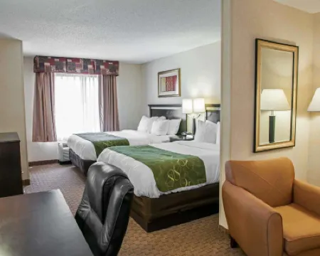 Comfort Suites Southport Hotels in Marion County