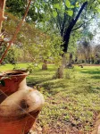 Doga Apartments فنادق في Kayakoy