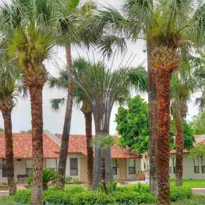 The Bungalows on Shary Hotel Exterior