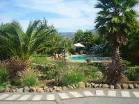 Hotel Boutique Solaz Bella Vista de Colchagua - Pool