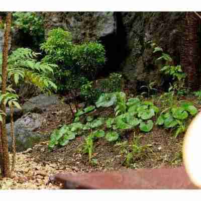 ホテルアレグリアガーデンズ天草 Hotel Exterior