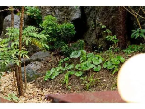 ホテルアレグリアガーデンズ天草