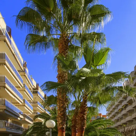 Rentalmar Ventura Village Families