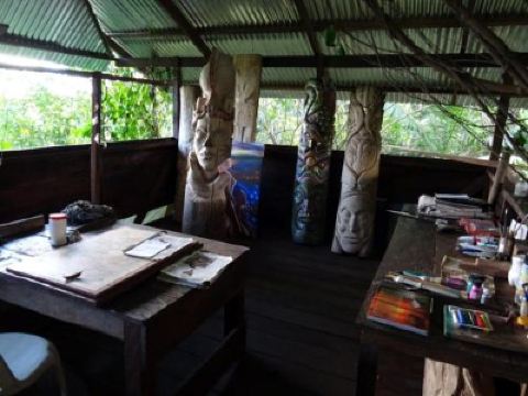 Public Areas Ayahuasca Photo