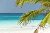Tikitam Palms Boutique Hotel - Beach