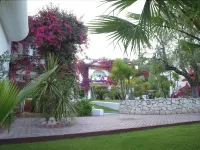 AH Premium Baia dei Faraglioni Hotels in Mattinata
