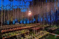 Massabki Hotel Hotels in Maalaqah