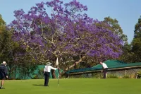 Golf Club Motor Inn Wingham - Wifi