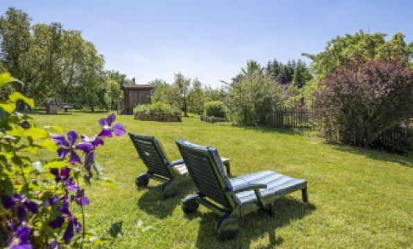 Cheerful Apartment Near Forest in Tännesberg - Housity