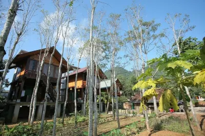 Phong Nha Mountain House Отели в г. Bo Trach District