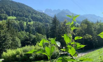 Spacious Swiss Alpine Chalet for Nature Lovers