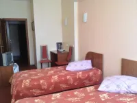 Pingvin Hotels in 