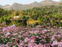 Dao Lodge Hotels in TT. Yen Minh