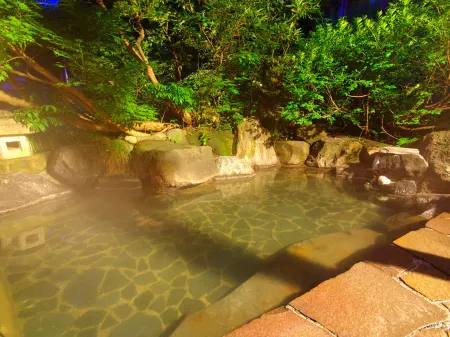 Matsunoyama Onsen Izumiya Отели в г. Сакаэ