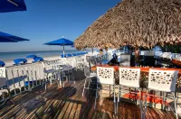 DoubleTree Beach Resort by Hilton Hotel Tampa Bay - North Redington Beach - bar