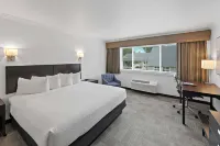 Best Western Wesley Inn  Suites Hotels in Gig Harbor
