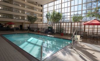 Atrium Hotel and Suites DFW Airport