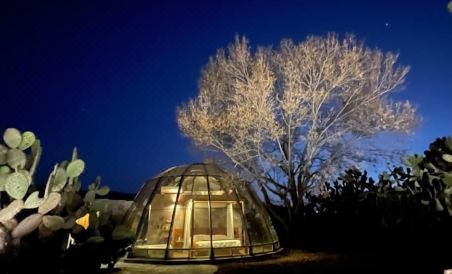 Raices Glamping - Housity