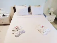 普麗樂斯塔麗