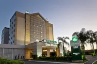 Bourbon Dom Ricardo Aeroporto Curitiba Business Hotel Hotels in Sao Jose dos Pinhais