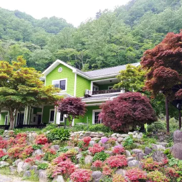 Yang Yang Sangol Yeohang Pension