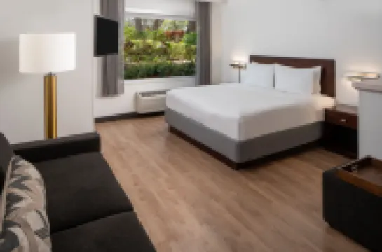 SpringHill Suites Fort Lauderdale Airport & Cruise Port Hoteles en Dania Beach