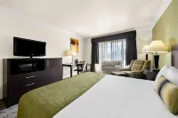 Best Western Executive Inn