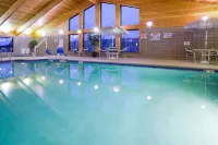 AmericInn by Wyndham Jackson - プール