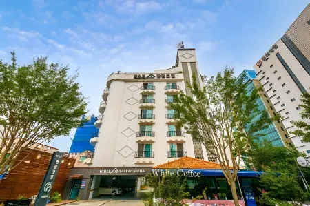White Tourist Hotel Отели в г. Чонджу