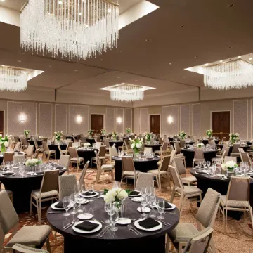 Sheraton McKinney Hotel