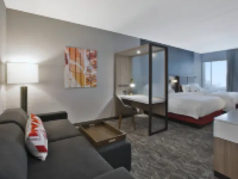 スプリングヒル スイーツ バイ マリオット チャタヌーガ ノース/ウールトワー コレッジデールのホテル