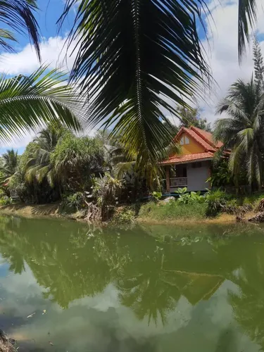รูปภาพของวังน้ำขาวรีสอร์ท-คลองท่อม กระบี่